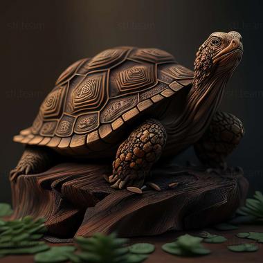 3D model Rossia tortugaensis (STL)